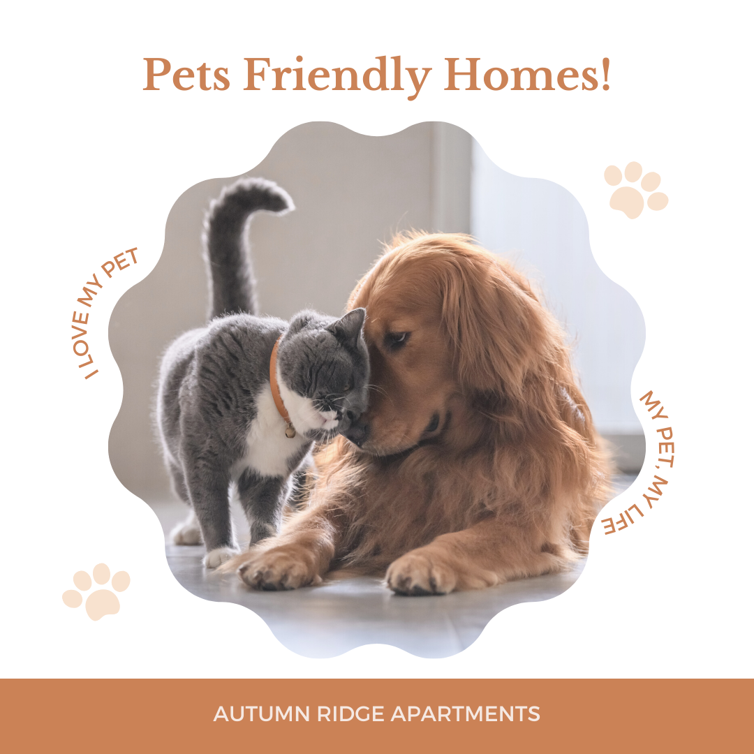 Two People Collaborating